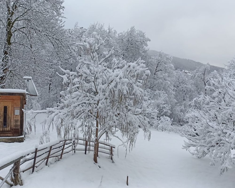 Location chalets Paradiski, les Arcs la plagne chalet nature ski lodge Sterwen