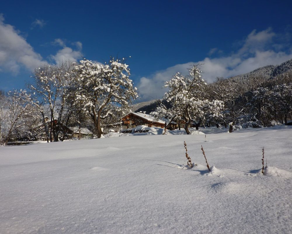 Location chalet Les Arcs Paradiski
