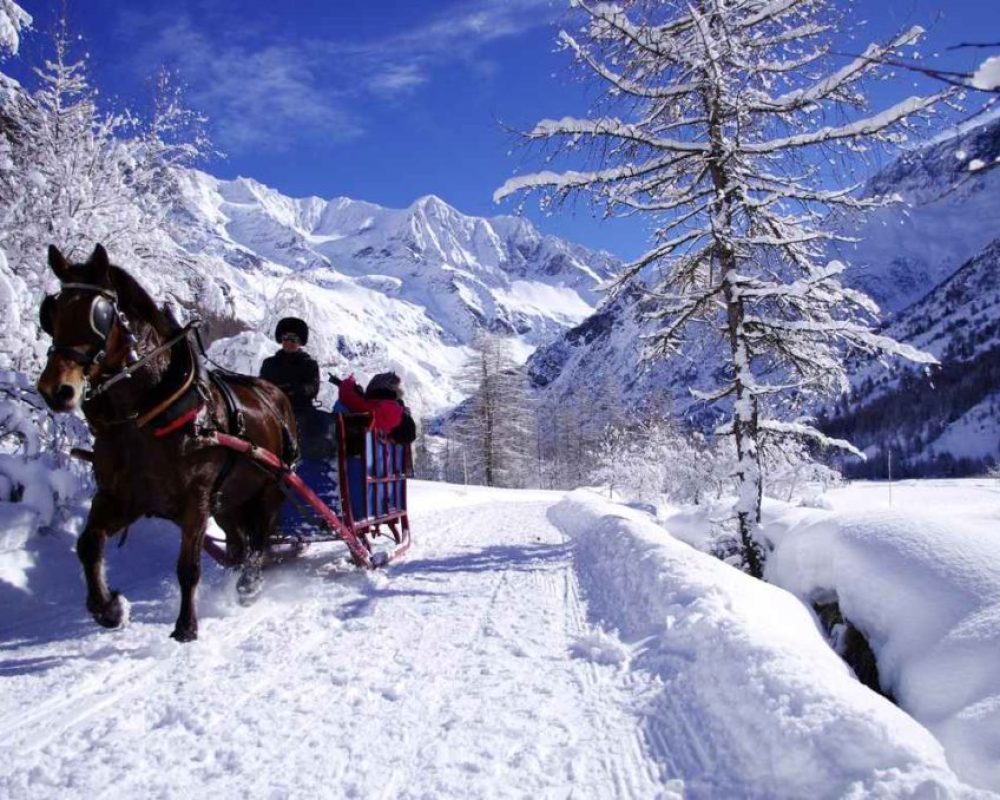 promenade-a-cheval-en-hiver